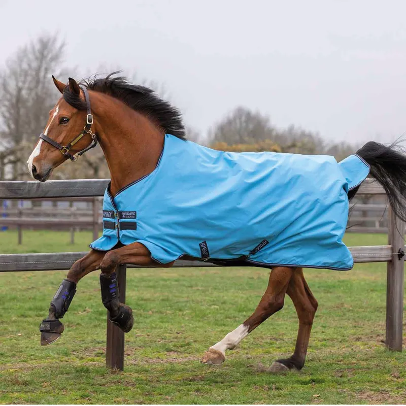 Horseware Amigo Hero 900 0g Turnout Rug - Capri/Gunmetal/Bluebell